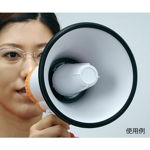 10Wハンドメガホン 380342