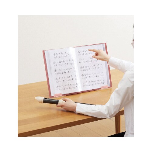 ジリッツCF サイドイン A4タテ ピンク