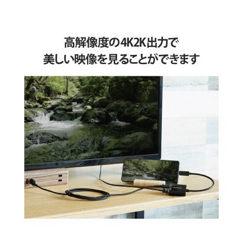 変換ケーブル タイプC HDMI 0.15m