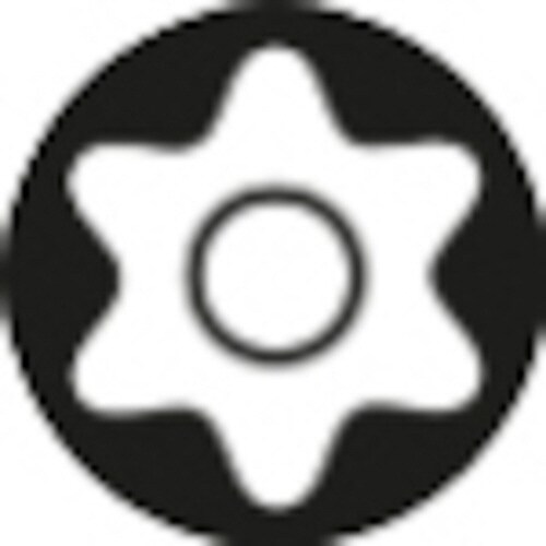 トルクスビット(センターピン付) TX25