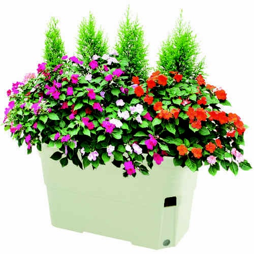 うるオン プランター 65型 70314