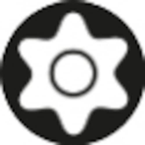 トルクスビット(センターピン付) TX40