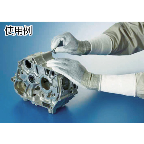 544−10P ケミスターパームFS L