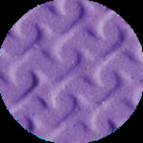 簡易包装ビニール厚手 10双入 Sサイズ