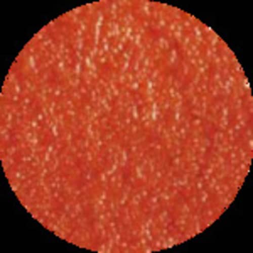 610 ニュービニローブ L