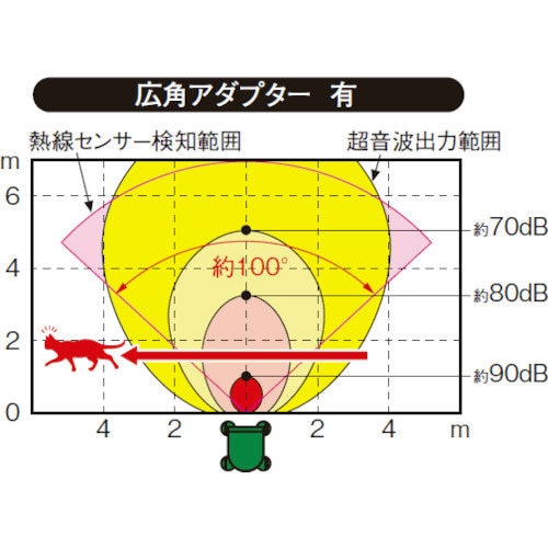 ねこちゃんしないで