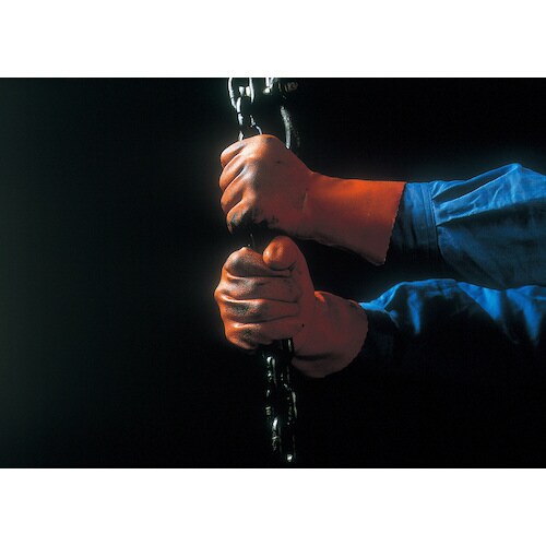 ニュービニローブ Mサイズ NO610−