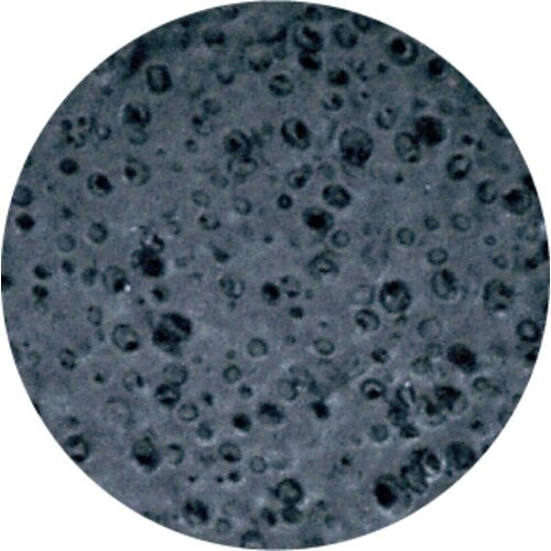 HOLD(ホールド)オイル&ナックル M