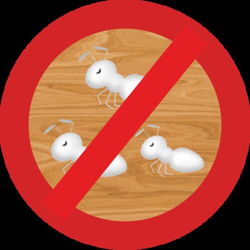 簡易型発泡ウレタンフォーム インサル防蟻フォーム