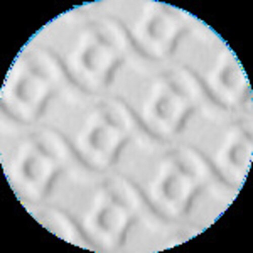 NO130MW10P ビニール薄手 白