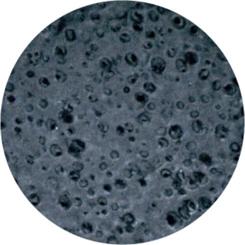 HOLD(ホールド)オイル&ナックルXL