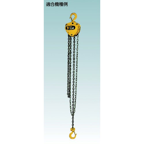 チェーンブロック ミゾナツトM10