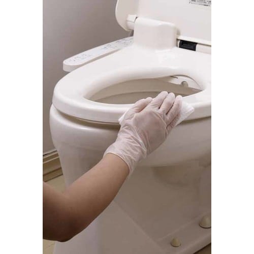 ナイスハンドお手軽手袋 フリーサイズ 10枚入