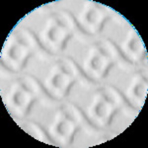 塩化ビニール手袋 きれいな手 うす手 白 Lサイズ