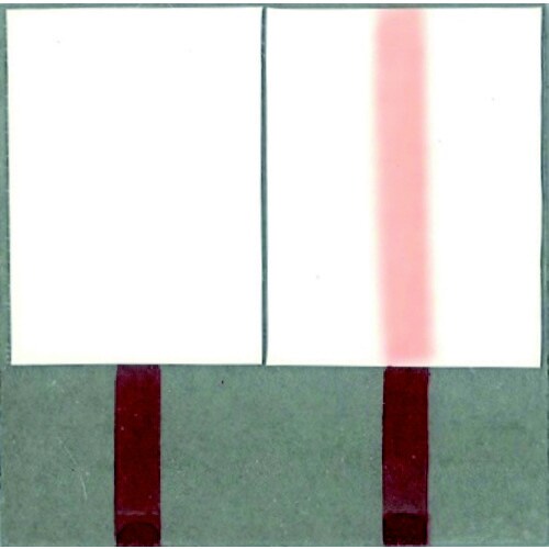 ピグマックス 細字 青