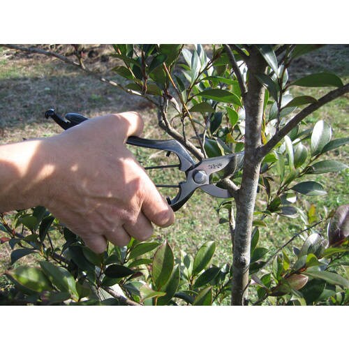 光山作 剪定鋏 B−200