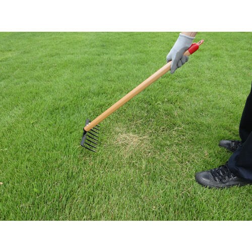 芝生のサッチ取り(小)