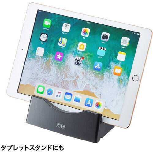 SANWA データホルダー ブラック