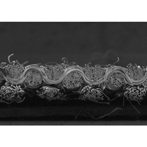 男女兼用ホッピングパンツ LT−793−A9−LL