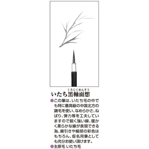 いたち黒軸面想(大)