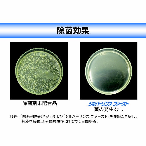 シルバーリンスファースト10kg
