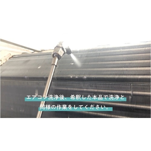 シルバーリンスファースト10kg