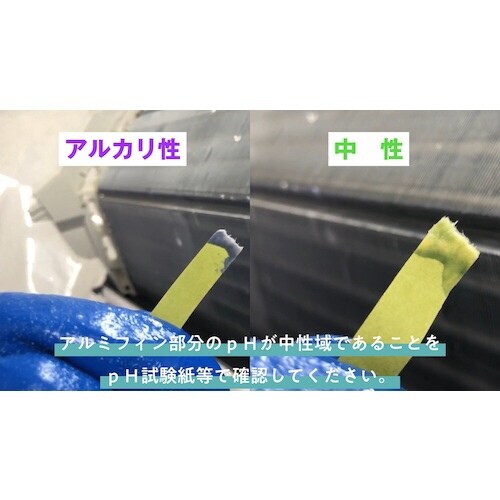 シルバーリンスファースト10kg