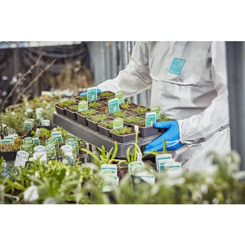 耐油・耐薬品ニトリル手袋 アルファテック