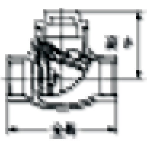 SVC2型(スイングチャッキバルブ) Rc1/2