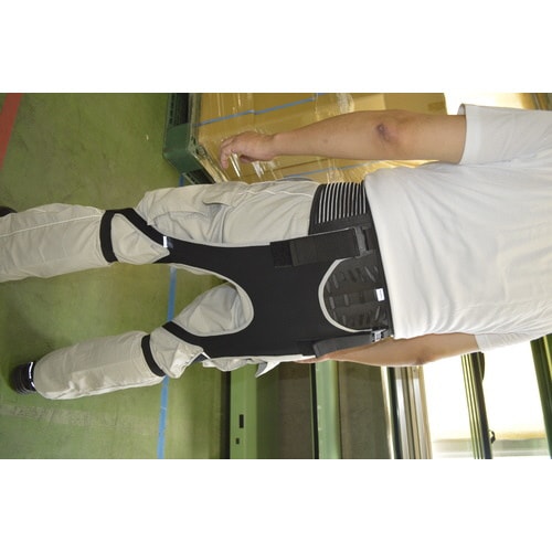 今日ももっと頑張れる腰アシスター 腰用M