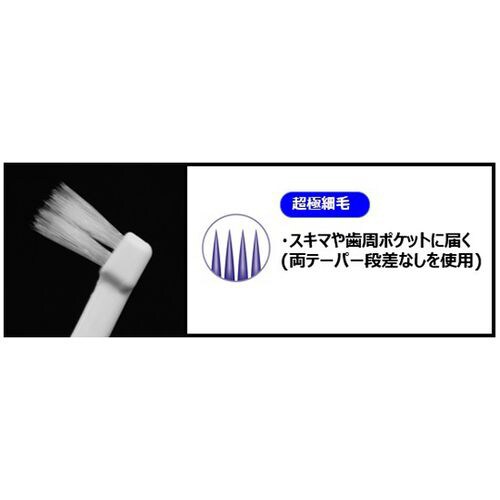 デンタルプロ ポイントブラシ 120本入