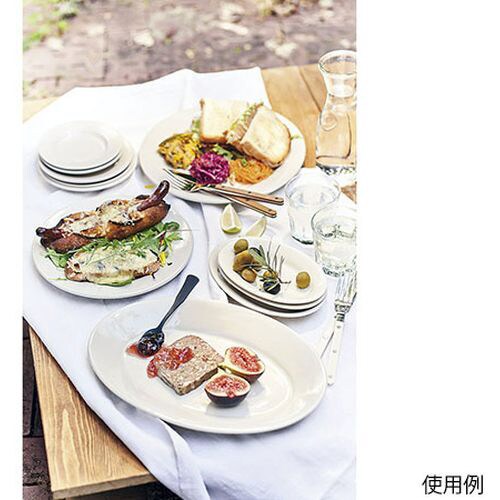 プレート 30.5cm PWC−50