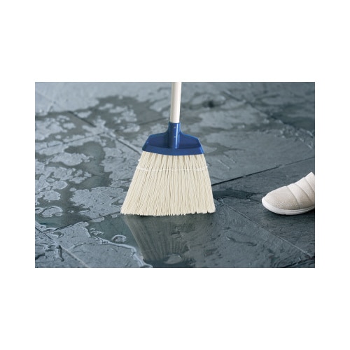 YS.庭箒ニューブルロンL