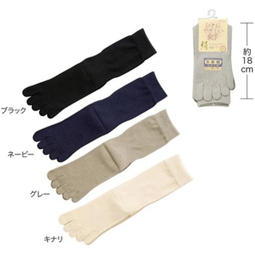 紳士シルク5本指ソックス キナリ 5190