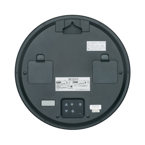ハイブリッド電波時計ZS254S