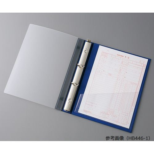 カルテブッククリヤー 2穴タイプ シルバー