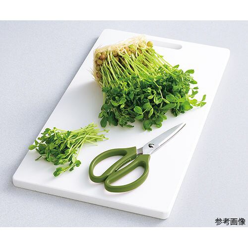 ステンレス セレクトキッチンバサミ グリーン