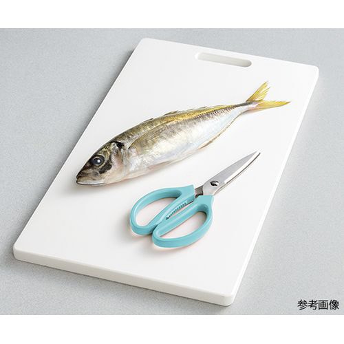 ステンレス セレクトキッチンバサミ ブルー