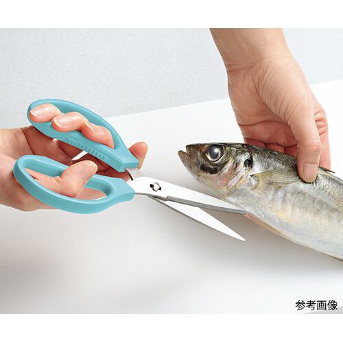 ステンレス セレクトキッチンバサミ ブルー