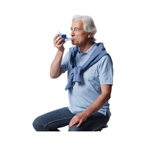 PARI ベロックス