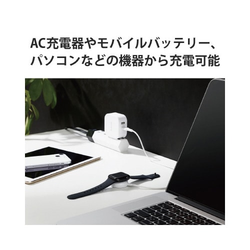 AppleWatchケーブル 1.2m ホワイト