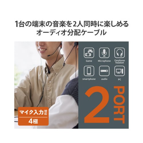 オーディオケーブル 2分配 φ3.5mm ブラック