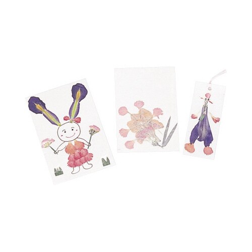 押し花セット