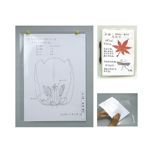 透明掲示ホルダー A4