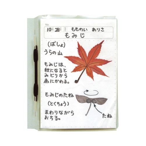 透明掲示ホルダー A4