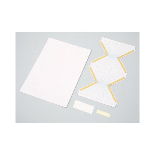 立体トリック絵画