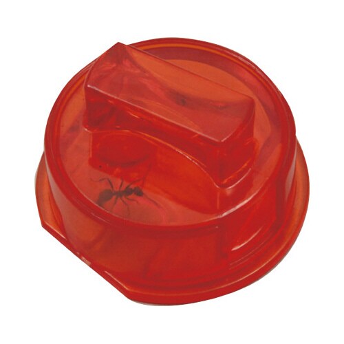 アリのくらし観察セット