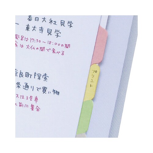 バンド付野外活動ファイル(20穴 無地ノート無)