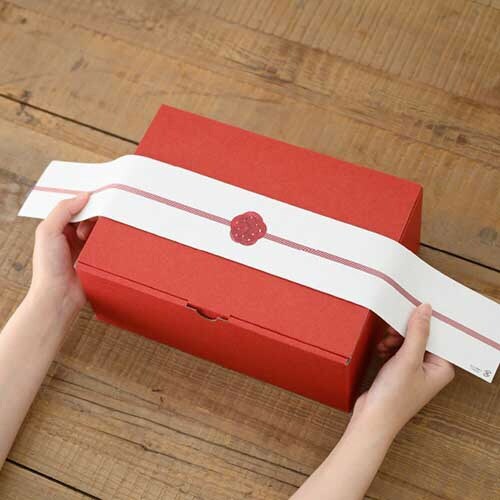 掛け紙 水引梅結び赤1 20枚入×5