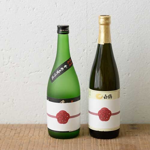 掛け紙 水引梅結び赤1 20枚入×5